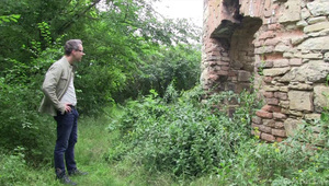 seks z cycatą i gorącą laską na kanapie