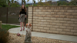 laska bierze fiuta między cycki