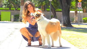 suty jej stoją od dzikich fetyszy