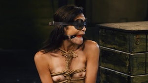 ta seksowna blondynka to nowa gwiazda