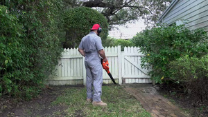 cały penis mieści się w jej przystrzyżonej szparce