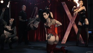 blondi połyka zawodowo bolca