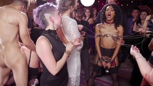 phoenix marie lubi prosto w zwieracze