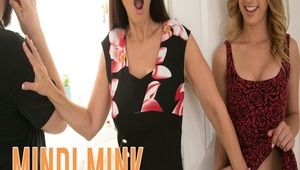 seks z naturalną babeczką w salonie